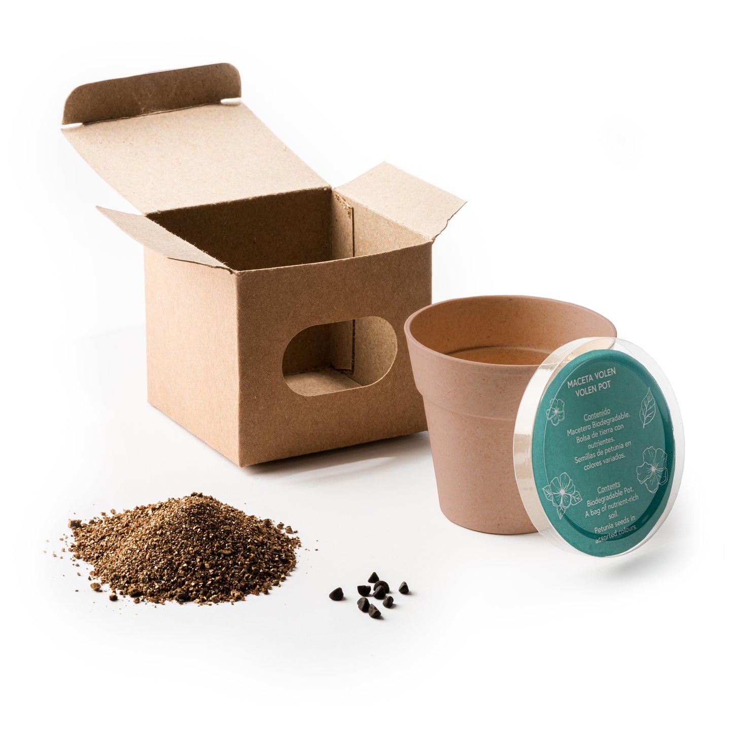 Maceta Biodegradable con Semillas de Petunia · Detalle Personalizado para Comunión