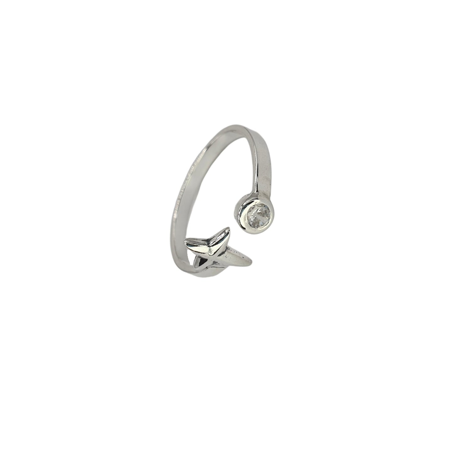 ANILLO POLAR