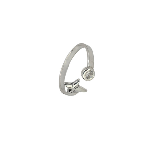 ANILLO POLAR